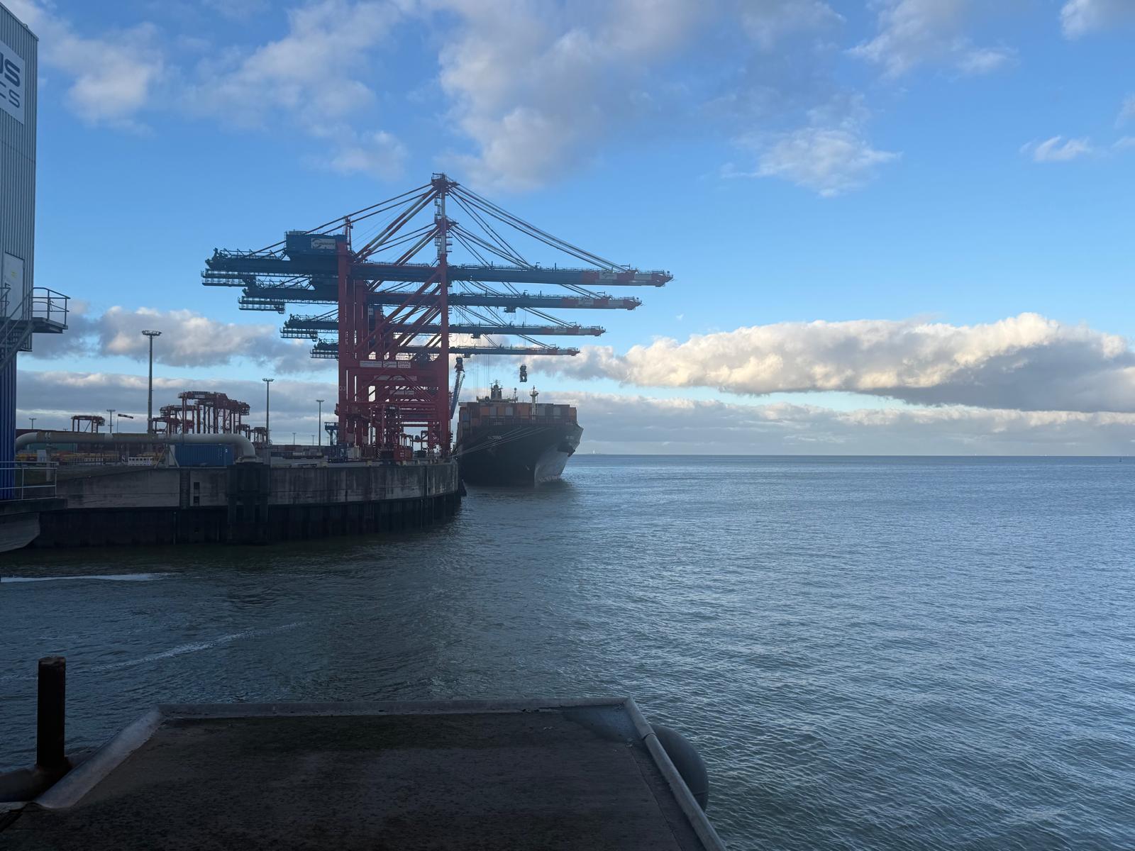 Container vessel alongside a terminal berth under gantry cranes